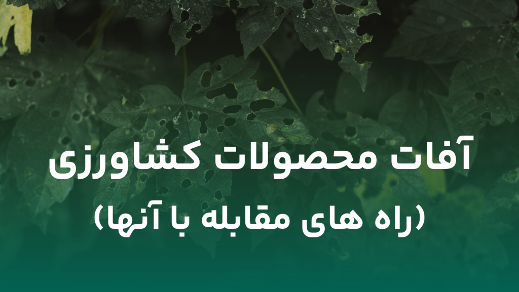 وبسایت سبززیستان