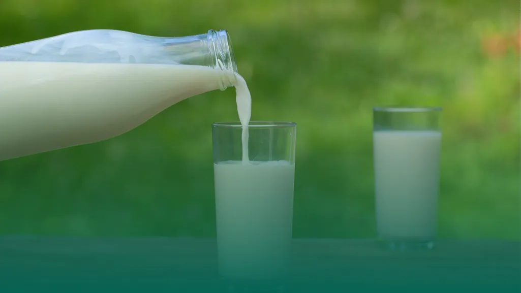 کاهش ۲ درصدی تولید شیر بر اثر تب برفکی